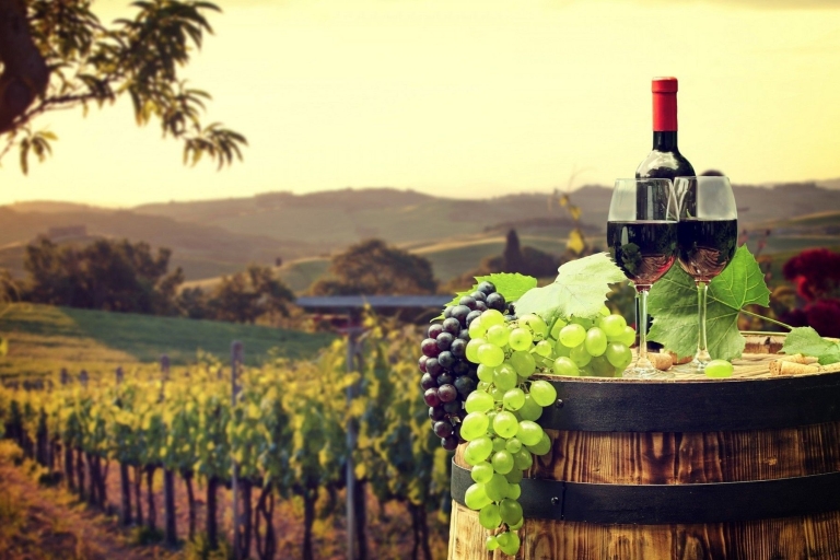 Nicea: Wycieczka po wioskach Prowansji z degustacją wina i produktów