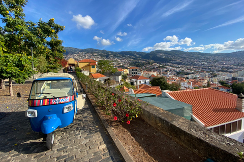 Funchal: Utforska stadens sevärdheter på en Tuk-Tuk 2-timmars rundturFunchal: Utforska stadens sevärdheter på en Tuk-Tuk-tur