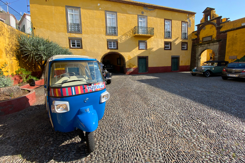 Funchal: Utforska stadens sevärdheter på en Tuk-Tuk 2-timmars rundturFunchal: Utforska stadens sevärdheter på en Tuk-Tuk-tur