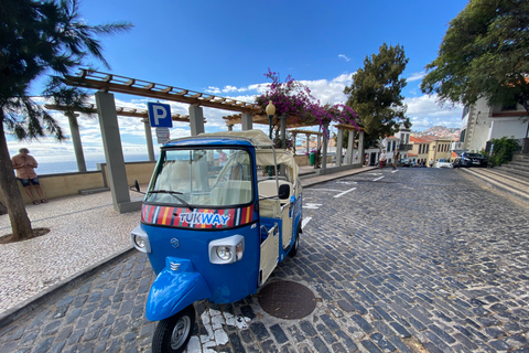 Funchal: 1 timmes privat stadsrundtur med Tuk Tuk på Tukway