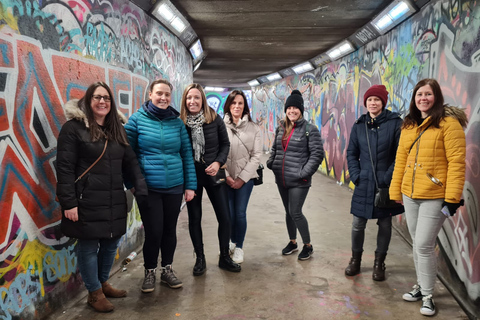 Belfast: visite guidée à pied de la ligne de service