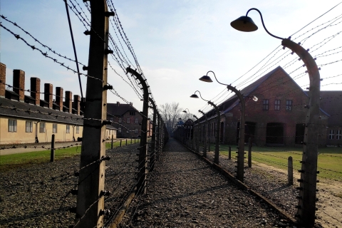 Cracovie : Auschwitz-Birkenau et la mine de sel de Wieliczka avec déjeunerExcursion d'une journée avec prise en charge à l'hôtel et déjeuner