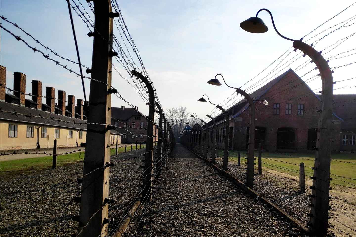 Krakow: Auschwitz-Birkenau & Wieliczka Salzmine mit Mittagessen