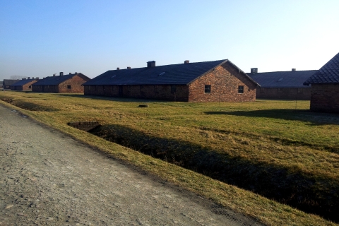 Krakau: Auschwitz-Birkenau & Wieliczka-zoutmijn met lunchDagtour met hotelovername en lunch
