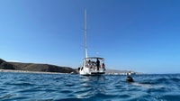 Almeria, Cabo de Cat-Nijar Natural Park Sunset Sailing Tour - Housity