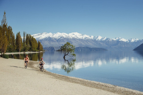 Tour per piccoli gruppi di 21 giorni della Grande Esperienza Kiwi