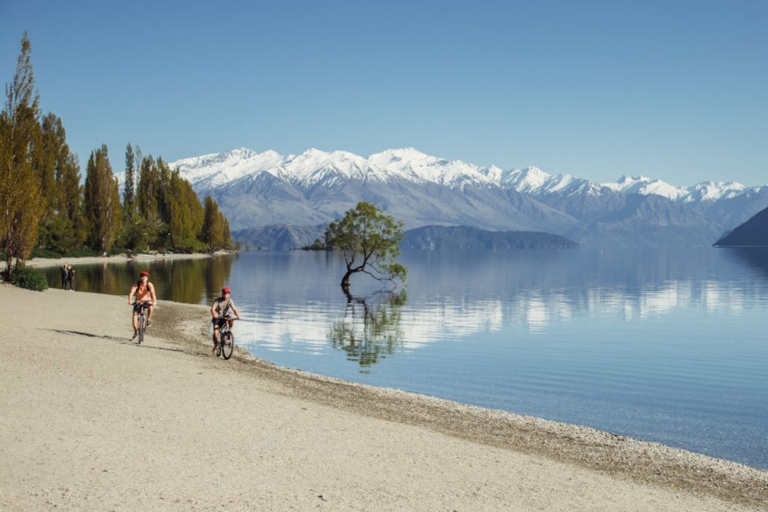 Tour per piccoli gruppi di 21 giorni della Grande Esperienza Kiwi