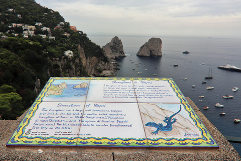 Excursão a Capri e Anacapri: Faraglioni e cavernas de SorrentoVisita a Capri e Anacapri: Faraglioni e grutas a partir de Sorrento