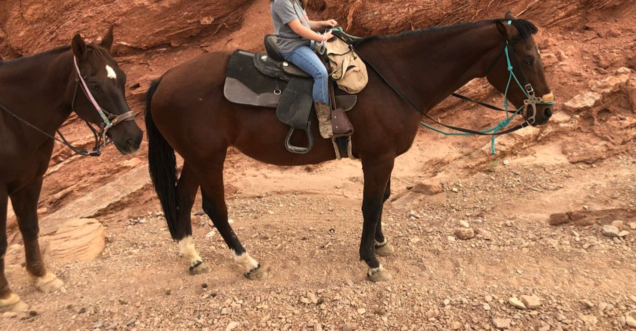 Las Vegas, Horseback Riding Tour - Housity