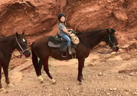 Las Vegas, Horseback Riding Tour - Housity