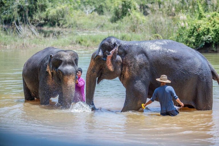 Phuket: Elephant Sanctuary Small Group Tour Tour with Shared Transfer