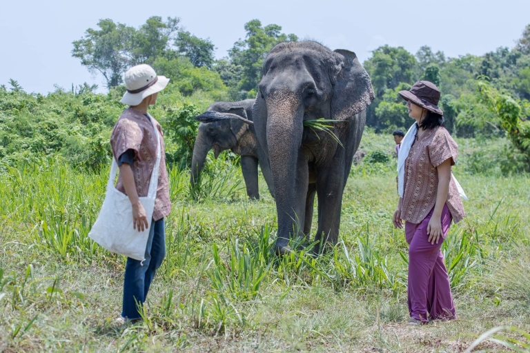 Phuket: tour met kleine groepen olifantenreservaatTour met gedeelde overdracht