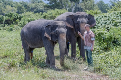 Phuket: Kleingruppentour zum ElefantenschutzgebietTour mit geteiltem Transfer