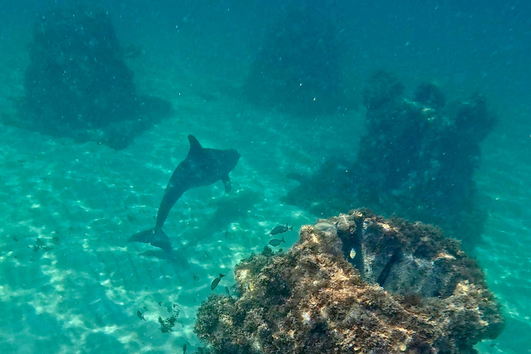 Fort Lauderdale: esnórquel, kayak y surf de remo con arrecifes y esculturasFort Lauderdale: Snorkel, Kayak &amp; SUP w/Reefs &amp; Sculptures