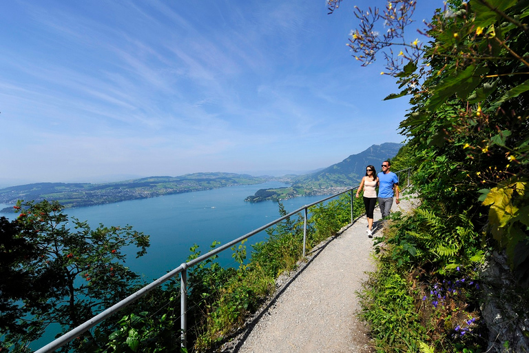 Z Zurychu: Kolejka linowa na górę Bürgenstock i Jezioro Czterech Kantonów