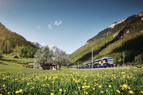 Depuis Lucerne : journée à Grindelwald et Interlaken