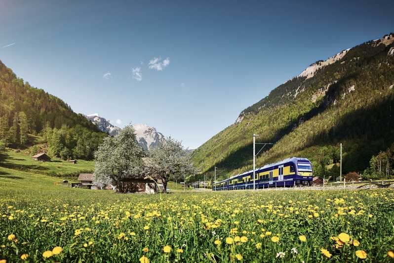 De Lucerna: Viagem de um dia para Grindelwald e Interlaken