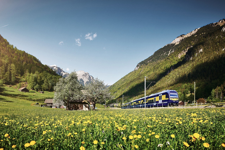 De Lucerna: Viagem de um dia para Grindelwald e InterlakenDe Lucerna: Excursão de 1 Dia a Grindelwald e Interlaken