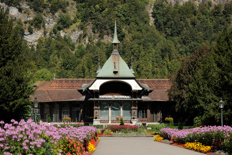 Desde Lucerna Excursión de un día a Grindelwald e InterlakenDesde Lucerna: excursión de 1 día a Grindelwald e Interlaken