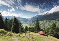 From Lucerne, Day Trip to Grindelwald and Interlaken - Housity