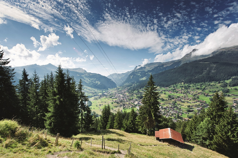 From Lucerne: Day Trip to Grindelwald and Interlaken