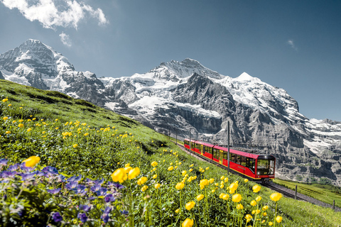 De Lucerna: Viagem de um dia a Jungfraujoch - Top of EuropeDe Lucerna: Excursão ao Jungfraujoch - O Topo da Europa