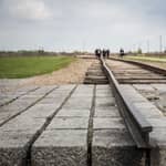 Da Cracovia: Tour Auschwitz Birkenau con trasferimento