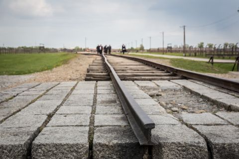 Z Krakowa: wycieczka do Auschwitz Birkenau z transportem