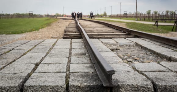 From Krakow: Auschwitz Birkenau Tour with Transfer