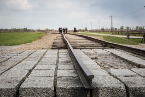 Desde Cracovia: Excursión a Auschwitz Birkenau con transporteVisita autoguiada con guía en polaco o inglés