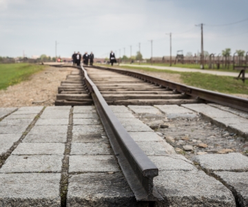 Z Krakowa: Auschwitz Birkenau Tour z transportem