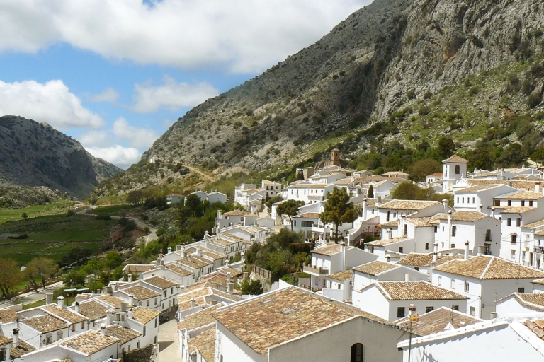 Depuis Séville : Excursion privée d'une journée à Ronda et Grenade