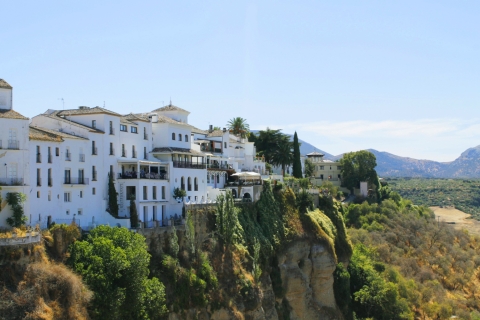 From Seville: Private Day Trip to Ronda and Granada