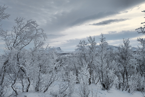 Arctic Morning - Snowshoe Experience (Private tour)
