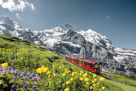 Vanuit Zürich of Luzern: 2-daagse Jungfraujoch-tourVan Luzern: Tweepersoonskamer