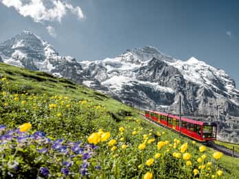 From Zurich or Lucerne: 2-Day Jungfraujoch Tour