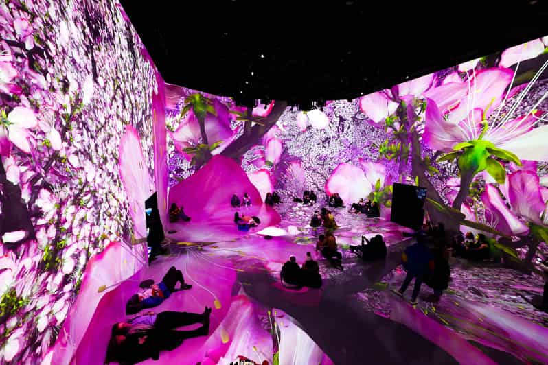 Washington, DC: ARTECHOUSE Immersive Art Experience Ticket | GetYourGuide