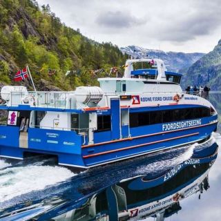Da Bergen: Osterfjord, Mostraumen e crociera sulle cascate