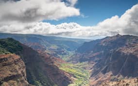 Kauai: Waimea Canyon and Koke'e Valley Bus Tour