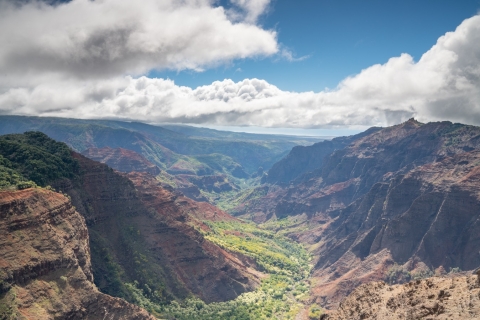 Kauai: bustour Waimea Canyon en Koke'e Valley