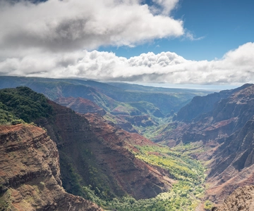 Kauai: Waimea Canyon and Koke'e State Park Tour
