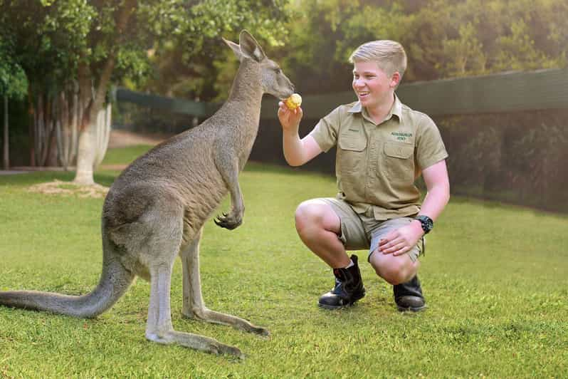 gold-coast-australia-zoo-ticket-and-roundtrip-transfer-getyourguide