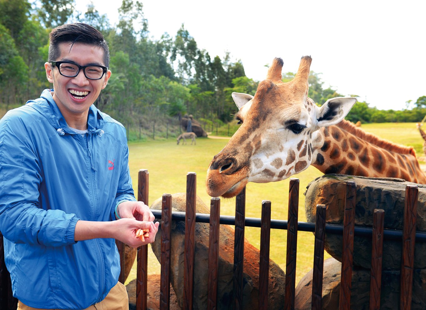 Fra Brisbane: Australien Zoo-billet og transfer tur/retur