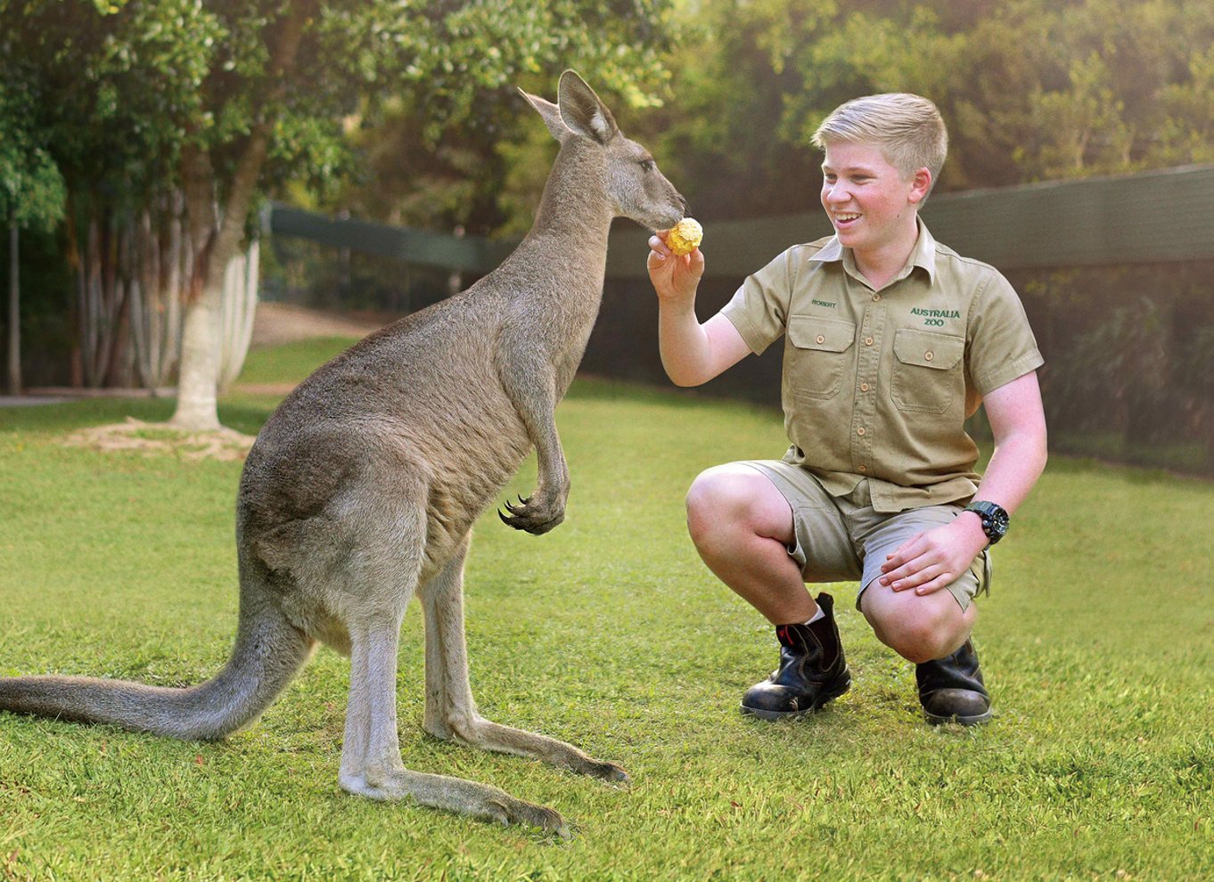 Fra Brisbane: Australien Zoo-billet og transfer tur/retur