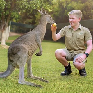 From Brisbane: Australia Zoo Ticket and Roundtrip Transfer