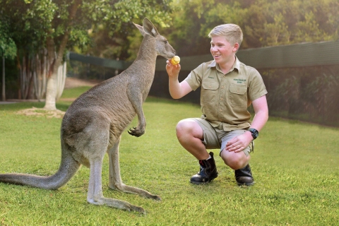 Van Brisbane: Australia Zoo Ticket en retourtransfer