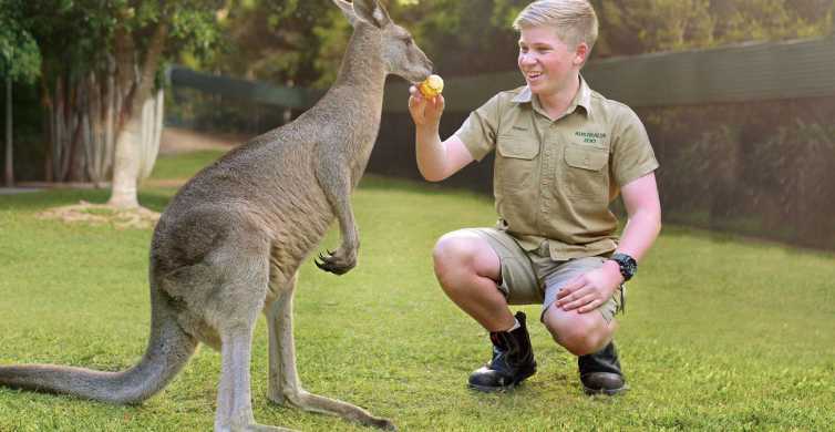 From Brisbane Australia Zoo Ticket and Roundtrip Transfer