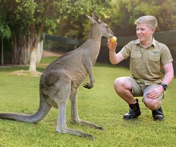 From Brisbane: Australia Zoo Ticket and Roundtrip Transfer