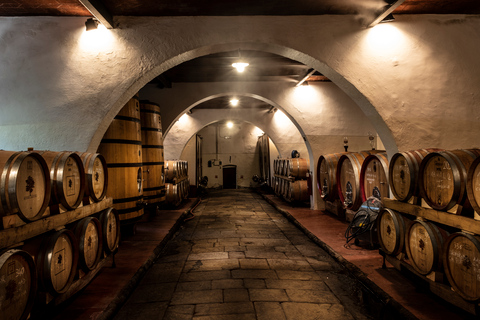 De Florence: visite privée du Chianti Rufina et dégustation de platsChianti Rufina : visite privée et dégustations de produits locaux