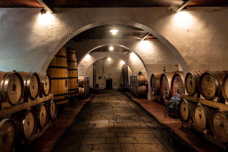 De Florence: visite privée du Chianti Rufina et dégustation de platsChianti Rufina : visite privée et dégustations de produits locaux